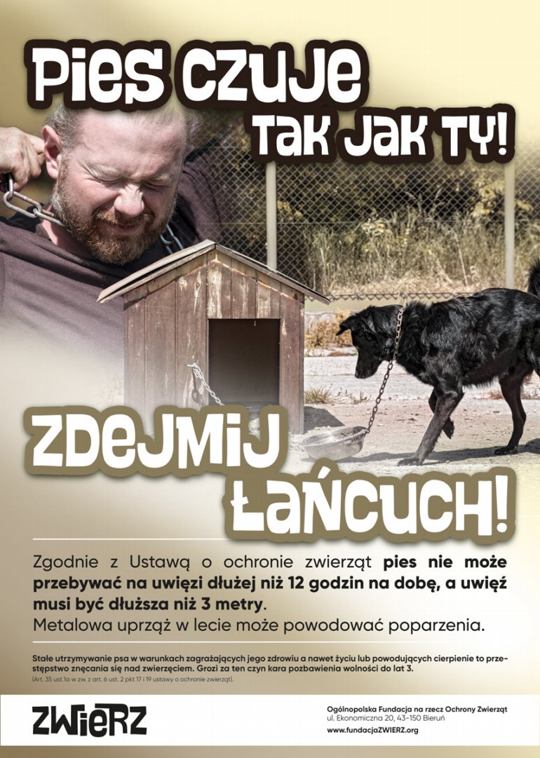 ZWIERZ akcja lato plakat 2 A3 podglad